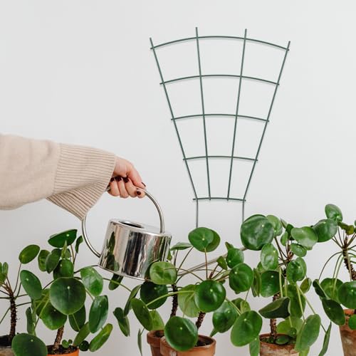 2pcs Plant Trellis Iron Climbing Support Rack for Flowering Vines - view 6