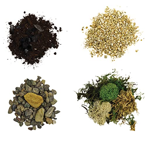 Terrarium Starter Kit | Moss, Vermiculite, Soil, Pebbles, Plant Food, Finishing Tools, Build and Care Guide | DIY Succulent Terrarium for Adults and Kids (Large) - view 4