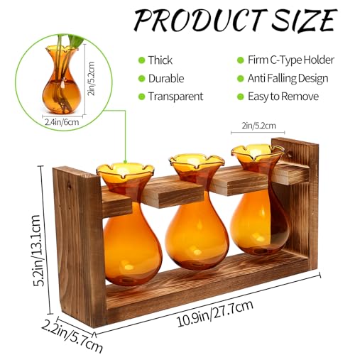 Plant Propagation Station Plant Terrarium Unique Birthday Gifts for Women - view 3