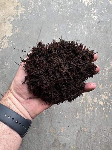 Premium Gritty New Zealand Tree Fern Fiber Growing Medium and Reptile Substrate- Natural, Organic, Long Lasting | for Orchids and Tropicals | Use in Terrariums and Vivariums (1 Gallon) - view 3