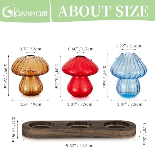 3Pcs Mushroom Propagation Station: Glass Terrarium Jar for Plants - view 6