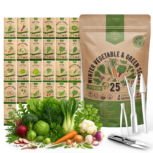30 Most Popular Winter Vegetable Garden Seeds Variety Pack- Outdoors/Indoor 33,200+ Non-GMO Heirloom Veggie Seeds Broccoli Beet Carrot Cabbage Chives Lettuce Radish Pea Spinach & More - view 3