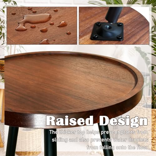 Acacia Wood Tall Plant Stand Indoor, Wooden Plant Stand Indoor Tall Plant Holder Table with Raised Edges Plant Riser for Inside Pot (12"x17") - view 4