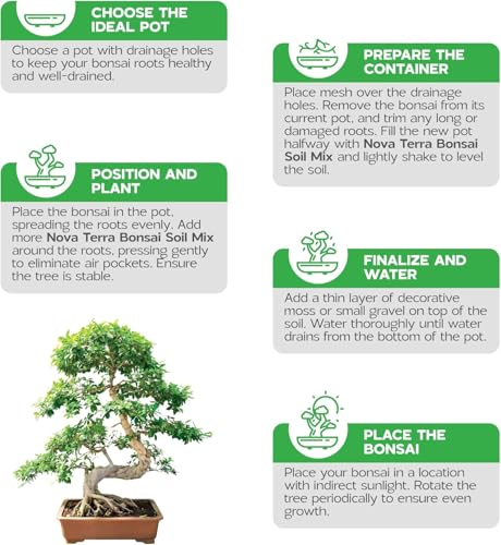 Novaterra Bonsai Potting Soil Mix for Indoor Bonsai Trees, 2.4 Quarts - view 5
