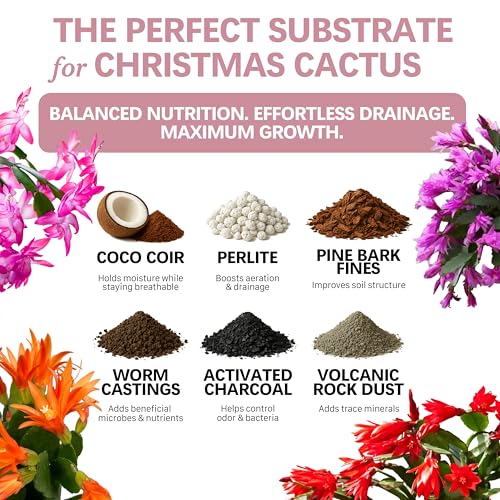 Premium Christmas Cactus Soil – Organic, Nutrient-Rich, Optimal-Draining Potting Mix for Schlumbergera – Promotes Healthy Roots, Balanced Moisture & Vibrant Blooms – Ready to Use (2 QTS) - view 2