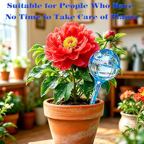 Self Watering Globes for Plant, 10pcs Auto Watering Bulb for Indoor Outdoor - view 5
