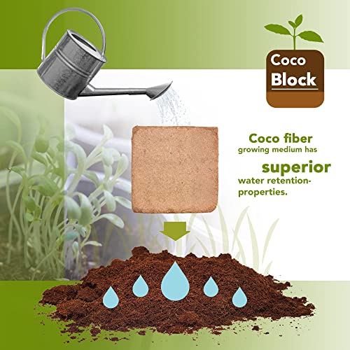 Home and Country Triple Washed Compressed Coco Coir Brick (40 LBS) - Coco Fiber is an Ideal Compost Starter for Your Home Garden. Coco Coir Bricks Provide Organic Alternative to Peat Moss for Plants. - view 4
