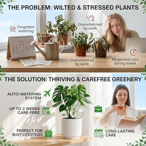 6 Pack 26 oz Extra Large Plant Self Watering Globes to 3 Weeks Watering - view 5