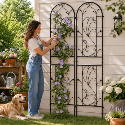 2-Pack 87" x 20" Sunflower Scroll Arch Black Metal Garden Trellises - view 3
