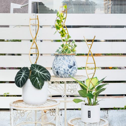 3PCS DNA Plant Trellis Indoor & Outdoor,Metal Trellis for Pots - view 4
