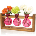 Plant Terrarium Jar Propagation Station Stand 3 Pink Bulb Vases