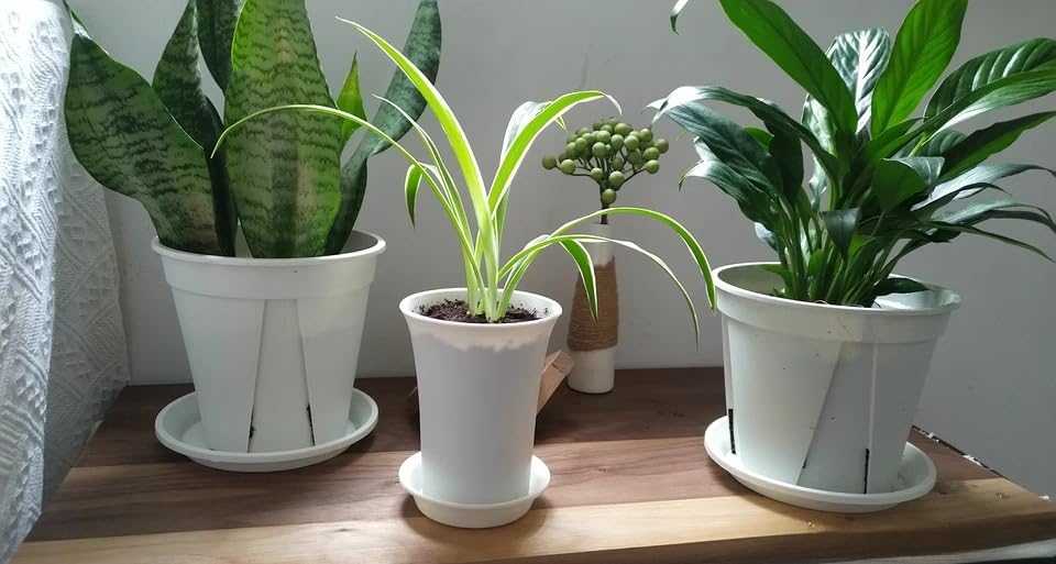 6 Pack 2.5 inch Plant Saucers Flower Pot Trays, Plastic Planter Drip Tray - view 6