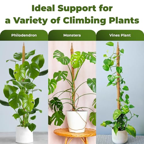 2 Pack 48'' Bendable Moss Pole Monstera Plant Support for Climbing Indoor Plants - Stakes for Potted Climbers - Tall Sticks Indoor Trellis for Houseplants - Accessories for Monstera Pot - view 4