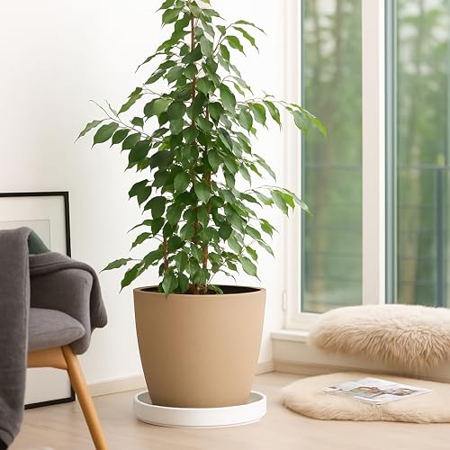 Ceramic Plant Saucer/Drainage Tray, 8.7 in, White, 97-T-A-4 - view 6