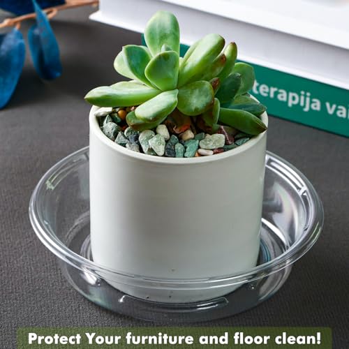 Plant Saucer 20 Pack Plant Trays for Pots 4 Inch Plastic Plant Saucers for Outdoors and Indoors Clear Drip Trays for Potted Plants Flower Pot Plates to Catch Water Plant Drainage Dishes No Holes - view 2