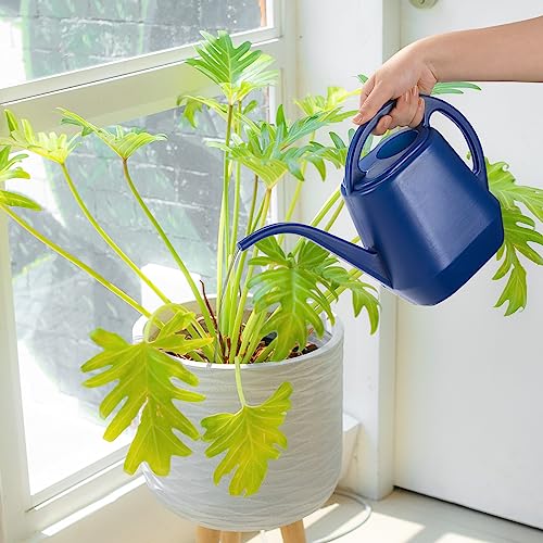 Watering Can, 1/2 Gallon Plastic Watering Cans with Comfortable Handle, Small Garden Watering Cans Long Spout for Indoor Outdoor Watering Plants, Blue - view 7