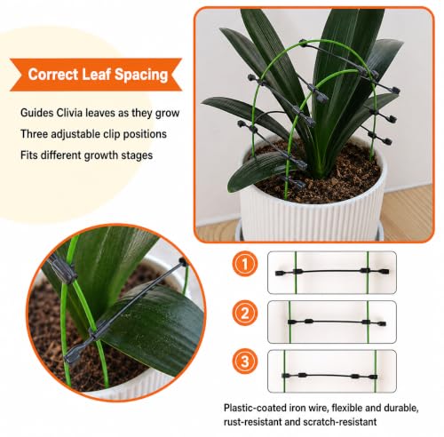 4PCS-Pack Adjustable Clivia Leaf Spacer and Plant Support, Leaf Spacing Tool with Flexible Coated Wire Frame, Reusable Leaf Guide for Broad-Leaf Indoor Potted Plants - view 5