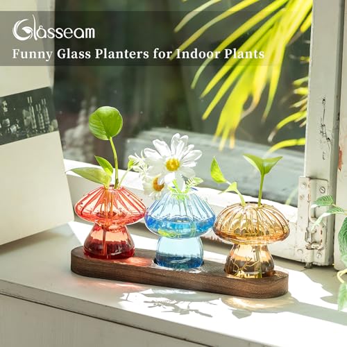 3Pcs Mushroom Propagation Station: Glass Terrarium Jar for Plants - view 3
