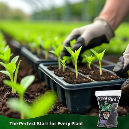 Plant Starter Cubes Made from Sphagnum Peat Moss. Ideal for Cuttings and Seeds, Designed to Support Robust Root Development - 100 Cubes - view 4