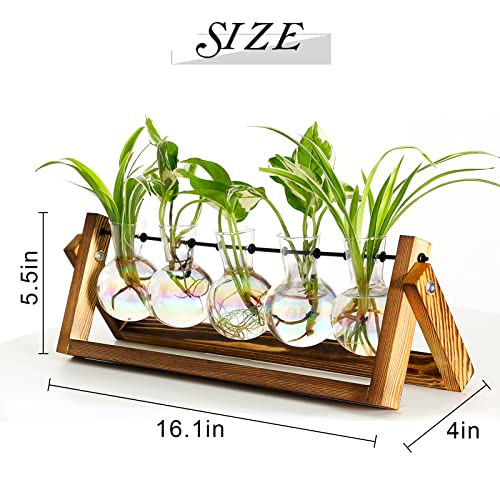 Plant Terrarium with Wooden Stand Desk Plant 5 Bulb Vase - view 2