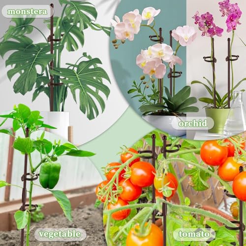 Plant Stakes 17inch &11inch 16Pcs Adjustable Flower Support Poles Orchid Sticks with Clips for Indoor Outdoor Garden Potted Tomato Rose Amaryllis Vegetables Comes with 20 Ties (Brown) - view 6