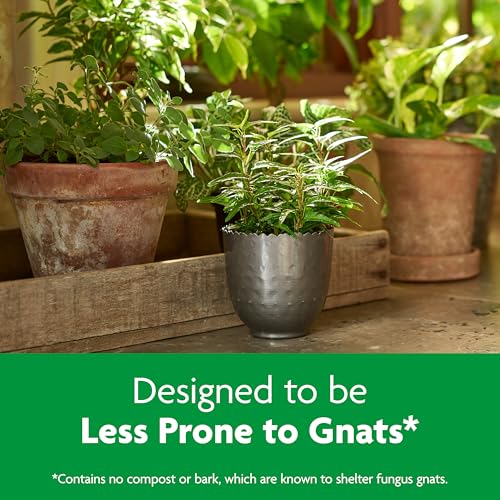 Indoor Potting Mix, Blended for a Variety of Houseplants, Feeds for up to 6 Months, 6 qt. - view 4