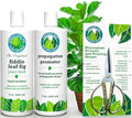 Fiddle Leaf Fig Notching Bundle