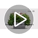 Harvest Indoor Garden Hydroponic System with LED Grow Light - view 7