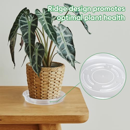 25 Pack Plant Saucer Tray, 6/8 / 10/12 /14 inch Heavy Duty Flower Pot Trays, Plastic Plant Saucer for Indoor & Outdoor Plants, Plant Trays to Catch Water, 5 Pieces of Each Size - view 7