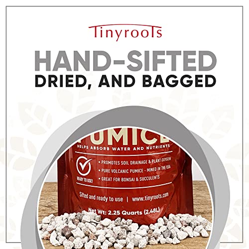 Tinyroots Horticultural Pumice for Plants - Soil Additive for Succulents, Cactus, Bonsai & Other Plants - 100% Pure Volcanic Rocks, 1/4 inch Soil Additive, 2.25 Quarts - view 2