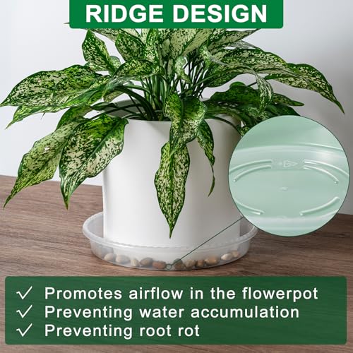 Plant Saucer Tray, 6 Pack 6 Inch Plastic Plant Saucers for Indoor Outdoor - view 5