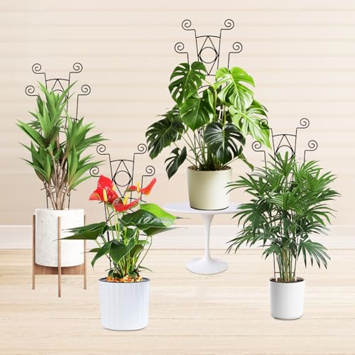 Stackable Metal Trellis for Climbing Plants Indoor - 4 Pack Garden Trellis for Potted Plants, Plant Support Stakes for Flower Vines - Rust-Resistant Sturdy Plant Trellis - view 7
