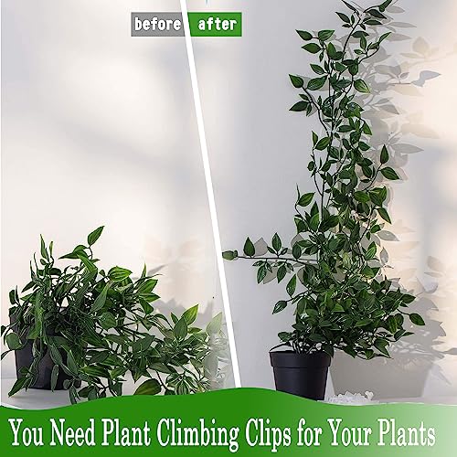 100Pcs Plant Climbing Wall Fixture Clips,Plant Fixer Invisible Wall Vines Fixing Clips Self-Adhesive Clips Plant Vine Traction for Indoor Outdoor Decoration and Cable Wire Fixing (Green) - view 5