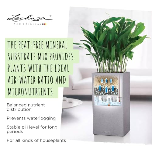 19562 PON Mineral Plant Substrate Potting Mix for Indoor Gardening, 12 Liter Bag, Grey - view 6