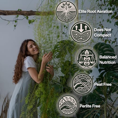 Craft Houseplant Potting Mix, Organic Indoor Potting Soil for House Plants, Chunky Well Draining Plant Soil for Pothos, Snake Plant & Tropical Plants, Peat Free, 2 Quart - view 2