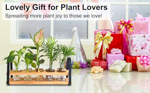 Plant Propagation Station with Wood Stand, Desktop Terrarium for Hydroponic, Flower Vase for Home, Kitchen, Office Decor, Plants Lover Gifts - view 4