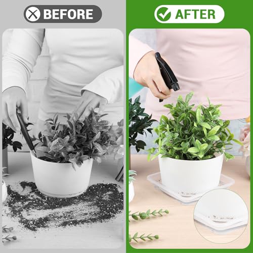6 Inch Square Plant Saucer, 6 PCS Plastic Tray for Pot-Fits Planters Up to 5″ Bottom Diameter, Durable Thick Flower Pot Plant Drip No Holes for Indoor Outdoor Planter(Clear) - view 5