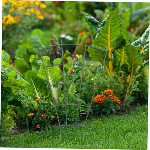 Iron Support Small Plant Trellis 3pcs for Climbing Roses - view 5