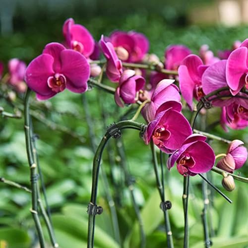 100 Pcs Plant Clips Orchid Clips Plants Orchid Support Clips Flower Vine Clips for Supporting Stems Vines Stalks Climbing Plant Grow Upright - view 6