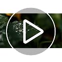 Succulent Gritty Mix - Fast Draining, Peat Moss Free, Perlite - 2 Quarts - Coconut Husk, Pumice - view 7