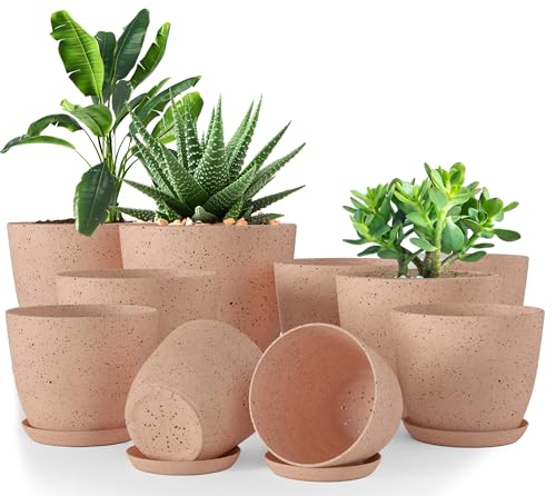 Plant Pots Indoor with Drainage 10 Pack Planters Spotty Peach Pink