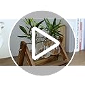 Propagation Stations,Plant Terrarium with Wooden Stand-3 Glass Vases - view 7
