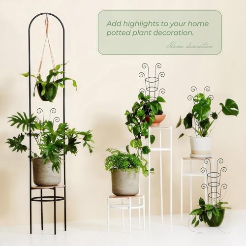 4 Pack 30 Inch Tall Metal Plant Trellis for Climbing Plants Indoor - Rustproof Garden Trellis for Potted Houseplants, Sturdy Support for Ivy, Pothos, Monstera, Hoya & Flower Vines - view 6