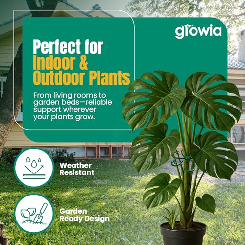 6 Pack Metal Plant Stem Supports for Indoor Plants (Green) - Houseplant Climbing Stem Supports and Stabilizer for Outdoor Plants - view 4