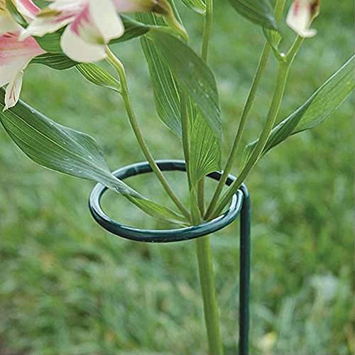 36 Inches Single Stem Plant Support Stakes Steel Garden Stakes Plant Stem Support, Pack of 20 - view 6