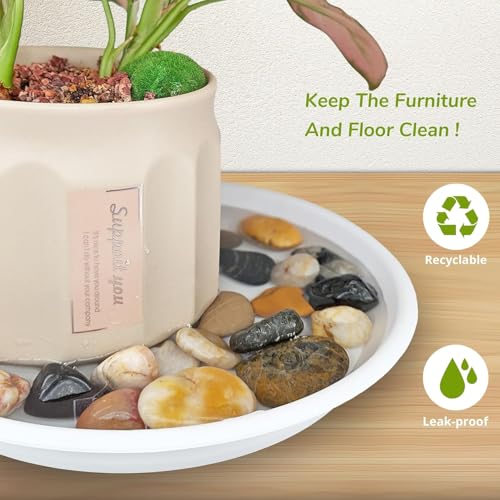 3Pcs Plant Saucer Tray, Heavy Duty Plastic Plant Drip Trays for Indoors and Outdoors, 6 8 10 12 14 16 inch Sizes, Flower Plant Water Tray Base (Dark Gray 12") - view 3