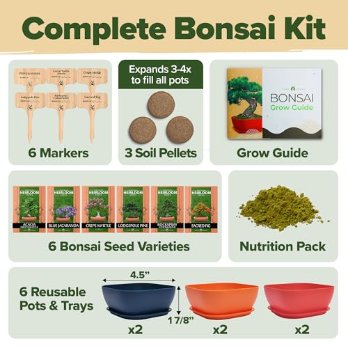Premium 4 Varieties & 6 Bonsai Tree Starter & 4 Bonsai Tree Starter & Gold Yarrow 1,600 Seeds Kit - view 6