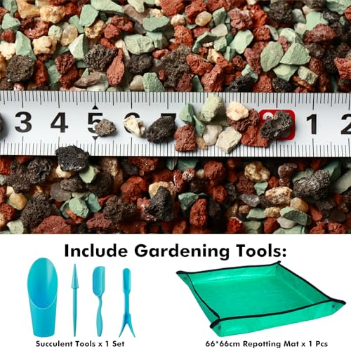 11 Pounds Mix Horticultural Lava Rocks, 3-6 mm Lava Rocks for Plants, Bonsai Rocks Horticultural Grit Soil Cover Gravel for Succulents and Hydroponics, Fairy Gardening, Top Dressing, Plant Drainage - view 2