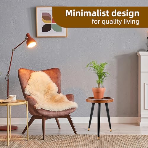 Indoor Plant Stand with Raised Design, End Table with Metal Tall - view 6