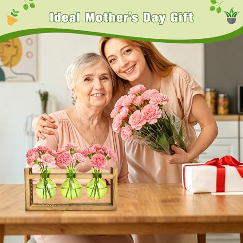 Plant Terrarium Jar Propagation Station Stand 3 Green Bulb Vases - view 3